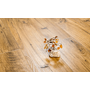 Ламінат Дуб Баварія 93404 Grun Holz