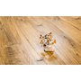 Ламинат Дуб Бавария 93404 Grun Holz